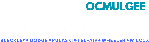 ORLS Full Logo in white with some color